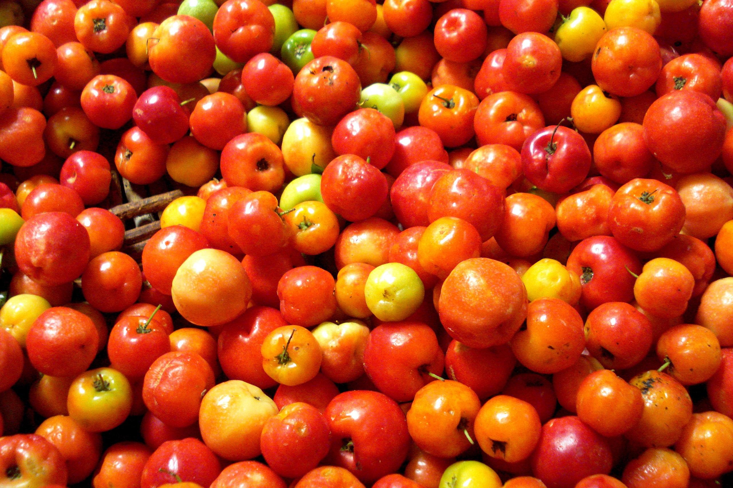 acerola