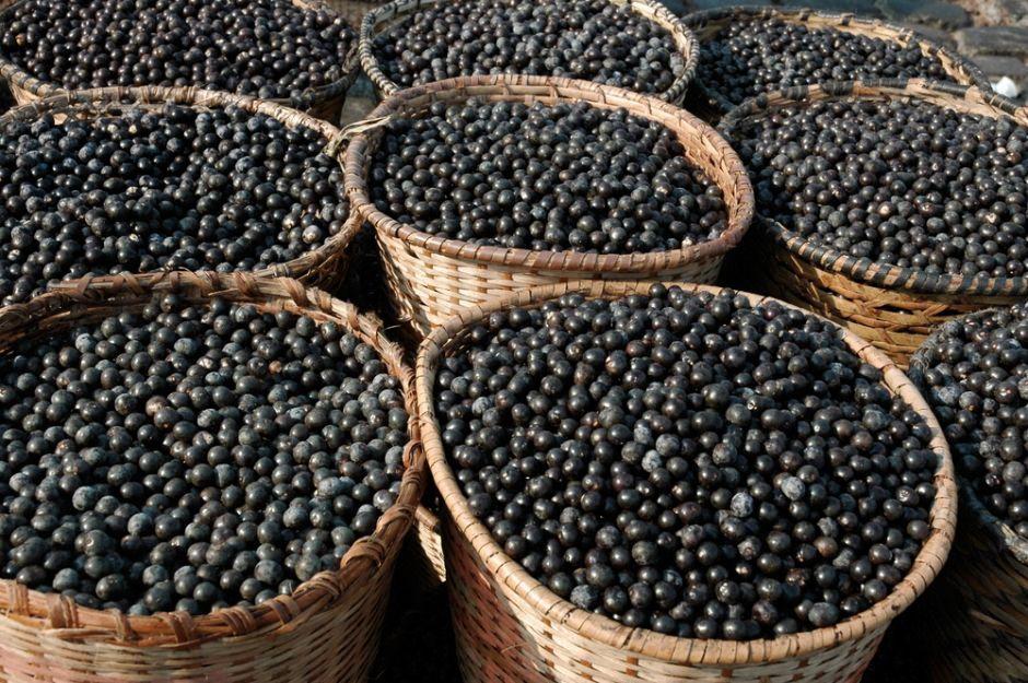 acai