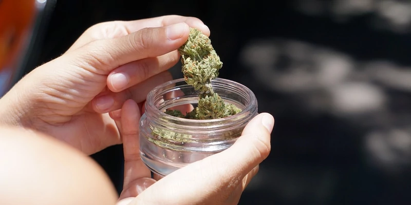 Ausztria dohányterméknek minősíti a CBD-virágzatot