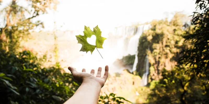 A természet nem gyors megoldásokban gondolkodik