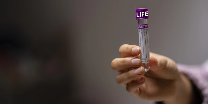 A feketepiac ontja magából a szennyezett kannabiszt 