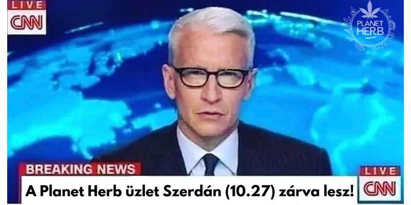 Tanulmányi szabadság 10.25.
